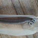 Ultrasonic Piezoelectric Ceramic For Making Ultrasonic transducers for sale