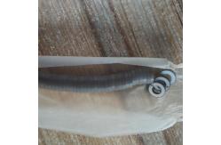 China Ultrasonic Piezoelectric Ceramic For Making Ultrasonic transducers supplier