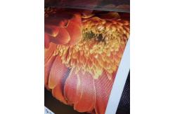 China Length 30m  Inkjet Printable Canvas Printable Polyester Canvas Fabric 260gsm supplier