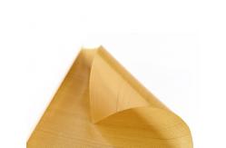 China Adhesive Polyester Removable Plate Tapes with Strength and BSCI Certification supplier