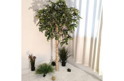 China Custom Artificial Landscaping Tree Bonsai Birch Garden Ornaments supplier