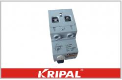 China Residual Current Device Mini Circuit Breaker 2 Pole RCCB 16A 25A 40A 63A supplier