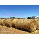 Custom 2G/M Gardening S Twist Hay Baling Twine PP Split Film Rope LT013 for sale
