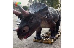 China Waterproof Animatronic Triceratops Life Size Animatronic Dinosaur For Amusement Park supplier