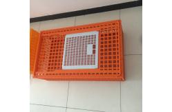China 98cm Plastic Chicken Transport Box supplier