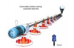 China Raising Chicken Feeding Line Steel PP Poultry Pan Feeding System supplier