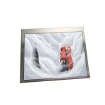 Original AUO 5.6 inch A056DN01 LCD display screen panel module for sale