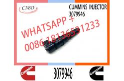 China Fuel Injector 3079946 3411821 3087648 3018835 for cum-mins NTA855 supplier