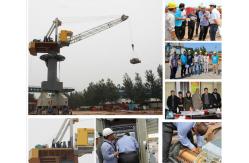 China 50T Mobile Gantry Crane Material Handling Crane With Safety Device supplier