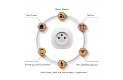 China Israel Standard Smart Wall Outlet WIFI Google Smart Outlet Plug With Timer supplier