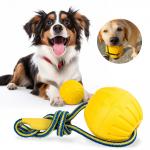 7cm 9cm Foam Dog Balls EVA Floating Pet Chew Toys Yellow Purple Customized for sale