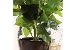 China 40cm Landing Artificial Potted Plant Garden Ornament Evergreen Bleeding Heart Bush supplier