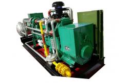 China 300KVA 250KW 60Hz Biogas CHP , Remote Monitoring CHP Cogeneration Systems supplier