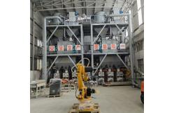 China Dry Powder Palletizing Robot Arm 3kW 380V Automatic Palletizing System supplier