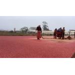 Stadium School Jogging Track Material EPDM SBR Surfaces All Weather Rustproof for sale