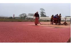 China Stadium School Jogging Track Material EPDM SBR Surfaces All Weather Rustproof supplier