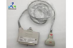 China PLT-805AT Linear Array 56mm ultrasound machine probes Original Toshiba Transducer supplier
