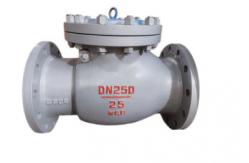 China Api 6a Flange Swing 1 Odm Stainless Steel Check Valve supplier