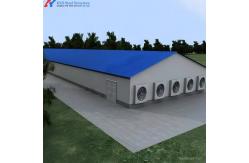 China Safe Automatic Poultry House Ventilation System For Broilers / Hens supplier