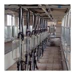 Cow 60 points Herringbone Milking Parlor Automatic Clean for sale