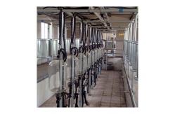 China Cow 60 points Herringbone Milking Parlor Automatic Clean supplier