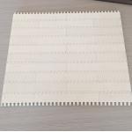                  Plastic Wire Mesh Plastic Modular Belt              for sale