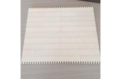 China                  Plastic Wire Mesh Plastic Modular Belt              supplier