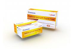 China ISO 15min Qualitative Detection Plasma Typhoid IgG IgM Rapid Test supplier