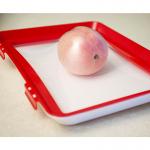 Freezer Safe 20x22.5cm PP Food Preservation Clever Tray for sale