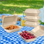 Customized takeaway burger box biodegradable sugarcane bagasse container clam shell box