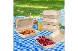 China Customized takeaway burger box biodegradable sugarcane bagasse container clam shell box supplier