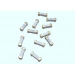 250V NANO2 Time Lag Subminiature Surface Mount Fuse