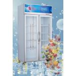 Energy Saving Commercial Display Refrigerator 584L Double Door Display Fridge for sale