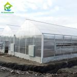 Plants Cultivation Single Span Polycarbonate PC Sheet Greenhouse with Stable Structure and Easy Assembly for sale