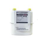 G1.6 / G2.5 / G4 Wireless Smart Meters , LoRaWAN Smart Gas Meter With Module for sale