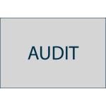 Transforming Ethics Audit Brief Detailed Report Data Analytics Improved Quality for sale