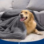 Calming Blanket For Cats Amazon Lamb Down Dog Blanket Cat Mat Pet Supplies Pet Mat Dog Blanket for sale