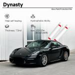 TPU Glossy Wrap Clear Wrap Pattern Car Paint Protection Film for sale