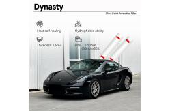 China TPU Glossy Wrap Clear Wrap Pattern Car Paint Protection Film supplier