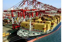 China Container Shipping From China To Oceania Freight Forwarder supplier