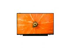 China LQ173D1JW31 Original in stock 17.3 inch LCD Display Screen supplier