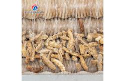 China Large Medium And Small Brush potato Cleaning Machine Stainless Steel supplier
