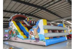 China Outdoor Roller Coaster Commercial Inflatable Water Slides High Slide Design supplier