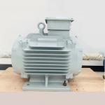 Three Phase Low Maintenance Permanent Magnet Motors for sale