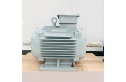 China Three Phase Low Maintenance Permanent Magnet Motors supplier