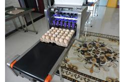 China Safety Egg Inkjet Marking Machine With Free Upgrade And Technical Guidance supplier