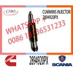 Hot-selling new Diesel common rail Fuel Injector 2894920PX 2894920