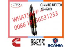 China Hot-selling new Diesel common rail Fuel Injector 2894920PX 2894920 supplier