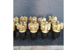 China Customizable PDC Bit Sandstone Polycrystalline Diamond Bit supplier