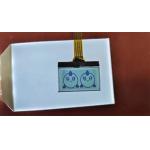 High Quality Positive Digit FSTN LCD Screen Custom Transmissive Display TN Lcd Module For Instrumentation for sale